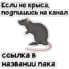Крысик 🐀 ⬅ 22
