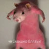 Крысик 🐀 ⬅ 25