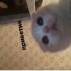 VIENIS OF THE DAY ♡ B вова зов зов завов P приветик Σ Вова Вов