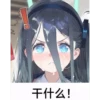 鲤鱼 20