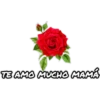 ● mothersDay, Nombres, mix. ♡ 26