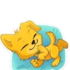 Perro Cute💞1🇵🇪Clásica 29