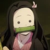 ⚔️Kimetsu No Yaiba⚔️ 29