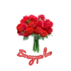 Alla 5