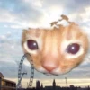 \•°So fuckin meow-meow°•\ 6