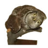 Animais embalsamados 15