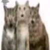 \•°So fuckin meow-meow°•\ 9