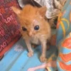 \•°So fuckin meow-meow°•\ 10