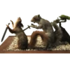 Animais embalsamados 16