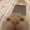 \•°So fuckin meow-meow°•\ 13