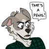 disaster lesbian dog 18