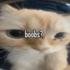 \•°So fuckin meow-meow°•\ 14