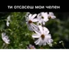 Создано в @new_stickerbot 18
