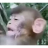 45