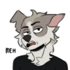 disaster lesbian dog 22