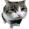 \•°So fuckin meow-meow°•\ 19