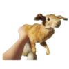 Animais embalsamados 22