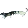 Animais embalsamados 23