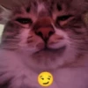 \•°So fuckin meow-meow°•\ 23