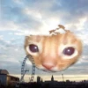 diselmancats 19