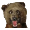 Animais embalsamados 24