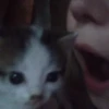 \•°So fuckin meow-meow°•\ 28