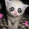 \•°So fuckin meow-meow°•\ 29