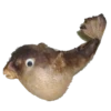 Animais embalsamados 29