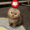 \•°So fuckin meow-meow°•\ 30