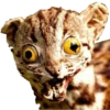 Animais embalsamados 30