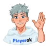 🔰 Дмитрий Г на Playerok.com 5