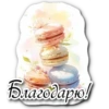 @fantasy_chronicles 5