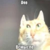 Больше стикеров → 9