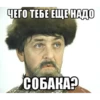 Больше стикеров → 10