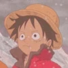 ⎙ Monkey D Luffy - @SugarCrashHelp 10