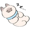 cute kitty . . 🤍 @Kenai_1 9
