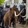 Чё доигрался? МАЧЕН OMOH