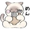 cute kitty . . 🤍 @Kenai_1 12