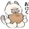 cute kitty . . 🤍 @Kenai_1 14