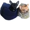 Dog's mood 15