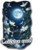 @fantasy_chronicles 15