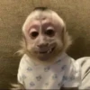 Mono 2 18