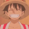⎙ Monkey D Luffy - @SugarCrashHelp 18