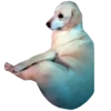 Dog's mood 20
