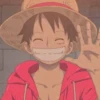 ⎙ Monkey D Luffy - @SugarCrashHelp 22