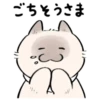 cute kitty . . 🤍 @Kenai_1 21