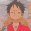 ⎙ Monkey D Luffy - @SugarCrashHelp 25