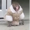 Mono 2 22