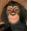Mono 2 23