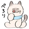 cute kitty . . 🤍 @Kenai_1 23